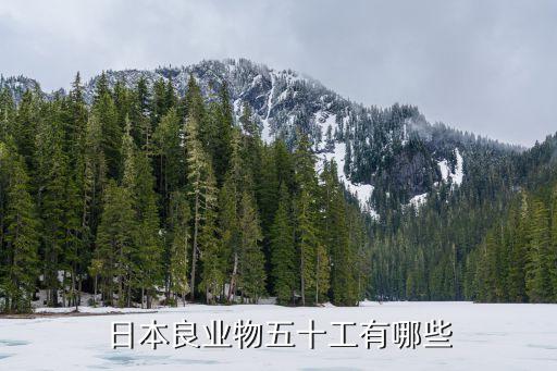 日本自動化高級設備,自動化設備包括哪些?