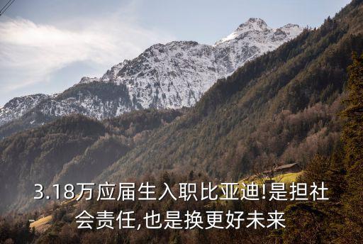 3.18萬應(yīng)屆生入職比亞迪!是擔(dān)社會責(zé)任,也是換更好未來