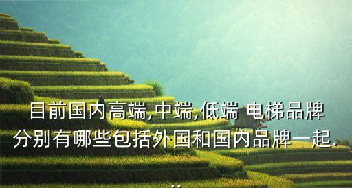 目前國(guó)內(nèi)高端,中端,低端 電梯品牌分別有哪些包括外國(guó)和國(guó)內(nèi)品牌一起...