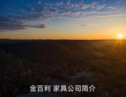 金百利 家具公司簡介