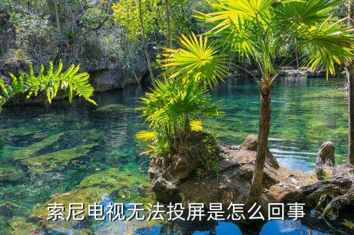 索尼電視投屏,索尼電視怎么投屏?