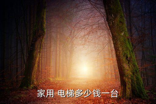 家用 電梯多少錢一臺(tái)