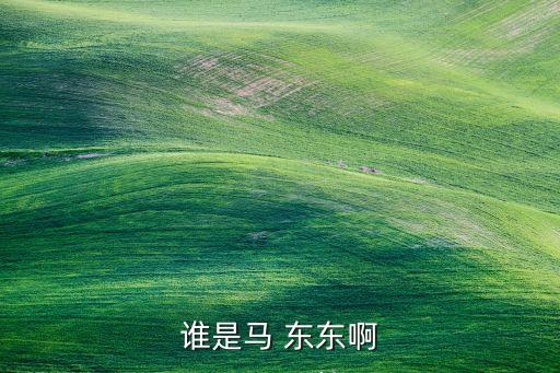 馬東東