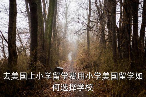 去美國上小學(xué)留學(xué)費(fèi)用小學(xué)美國留學(xué)如何選擇學(xué)校