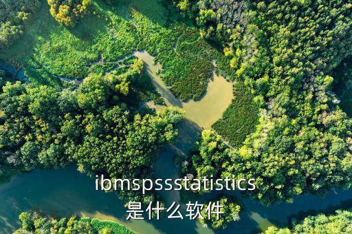 ibmspssstatistics是什么軟件