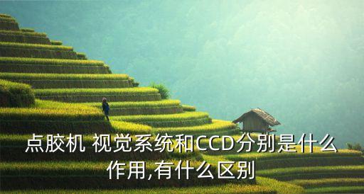 點膠機 視覺系統(tǒng)和CCD分別是什么作用,有什么區(qū)別