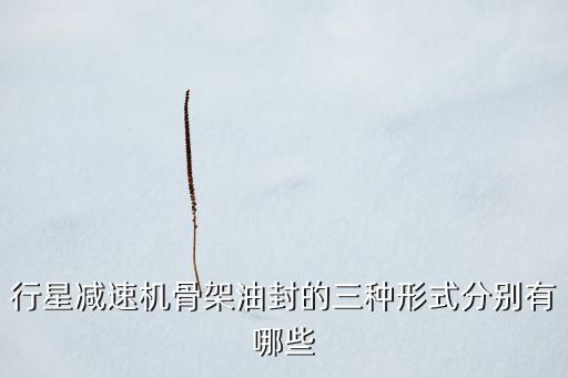 油封骨架硫化自動(dòng)化設(shè)備,骨架油封分為內(nèi)包外露和裝配式油封