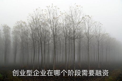創(chuàng)業(yè)型企業(yè)在哪個(gè)階段需要融資