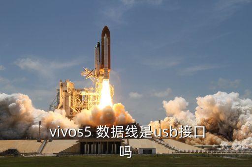  vivos5 數據線是usb接口嗎