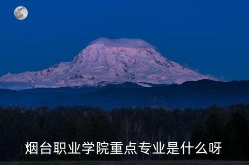 煙臺職業(yè)學(xué)院重點(diǎn)專業(yè)是什么呀