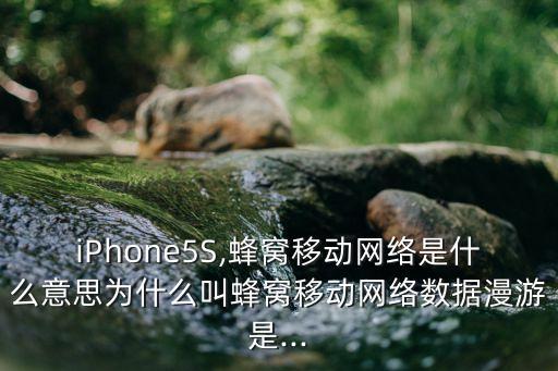 iPhone5S,蜂窩移動網(wǎng)絡是什么意思為什么叫蜂窩移動網(wǎng)絡數(shù)據(jù)漫游是...