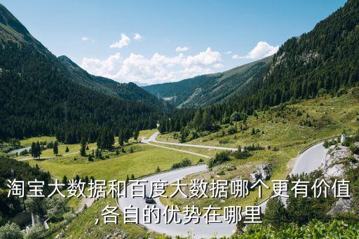 淘寶大數(shù)據(jù)和百度大數(shù)據(jù)哪個更有價值,各自的優(yōu)勢在哪里