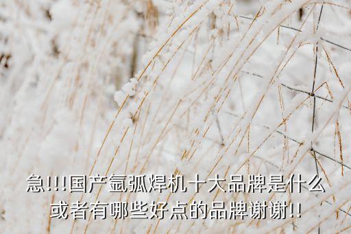 急!!!國產(chǎn)氬弧焊機十大品牌是什么或者有哪些好點的品牌謝謝!!