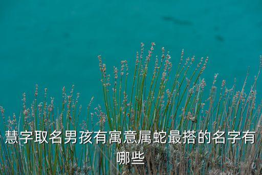 慧字取名男孩有寓意屬蛇最搭的名字有哪些
