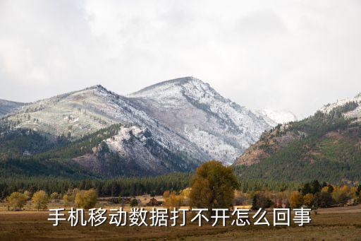 手機(jī)開不了網(wǎng)絡(luò)數(shù)據(jù),手機(jī)數(shù)據(jù)網(wǎng)絡(luò)打不開怎么辦?