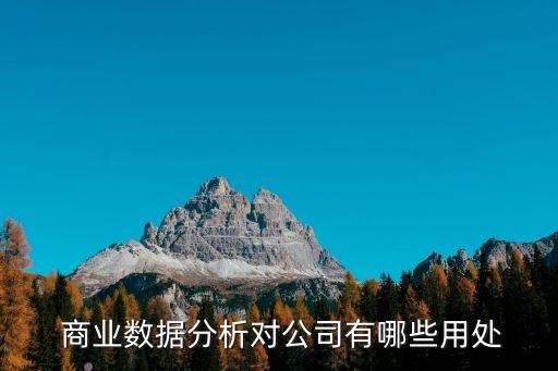  商業(yè)數(shù)據(jù)分析對公司有哪些用處