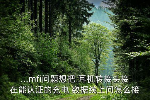 ...mfi問題想把 耳機(jī)轉(zhuǎn)接頭接在能認(rèn)證的充電 數(shù)據(jù)線上問怎么接
