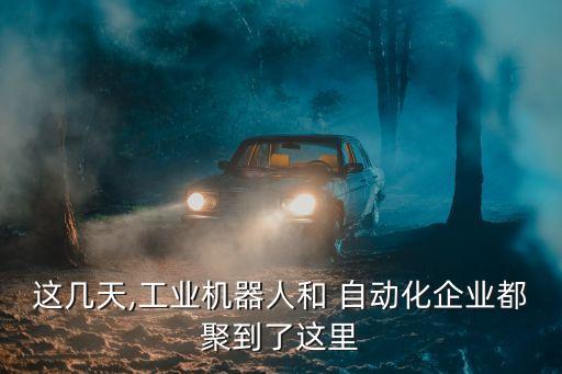 這幾天,工業(yè)機器人和 自動化企業(yè)都聚到了這里