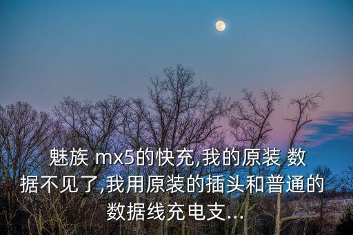  魅族 mx5的快充,我的原裝 數(shù)據(jù)不見了,我用原裝的插頭和普通的 數(shù)據(jù)線充電支...