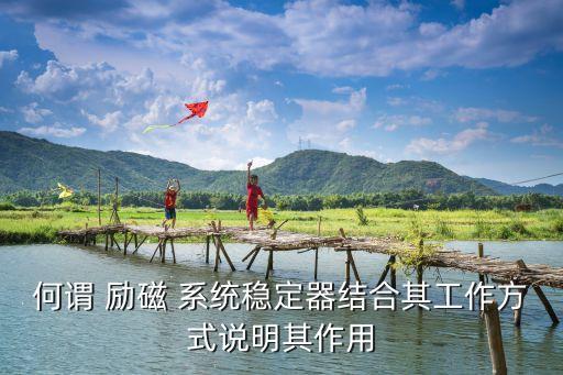 何謂 勵(lì)磁 系統(tǒng)穩(wěn)定器結(jié)合其工作方式說明其作用