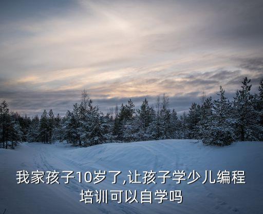 我家孩子10歲了,讓孩子學(xué)少兒編程培訓(xùn)可以自學(xué)嗎