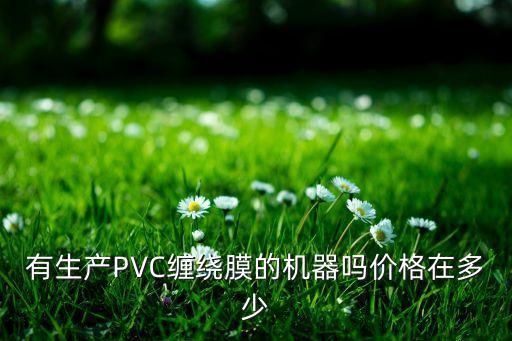 有生產(chǎn)PVC纏繞膜的機(jī)器嗎價(jià)格在多少