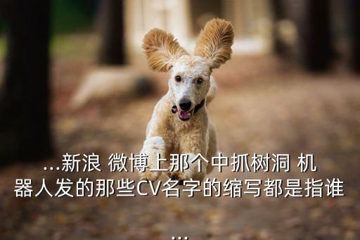 ...新浪 微博上那個(gè)中抓樹(shù)洞 機(jī)器人發(fā)的那些CV名字的縮寫(xiě)都是指誰(shuí)...