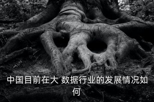 中國(guó)目前在大 數(shù)據(jù)行業(yè)的發(fā)展情況如何