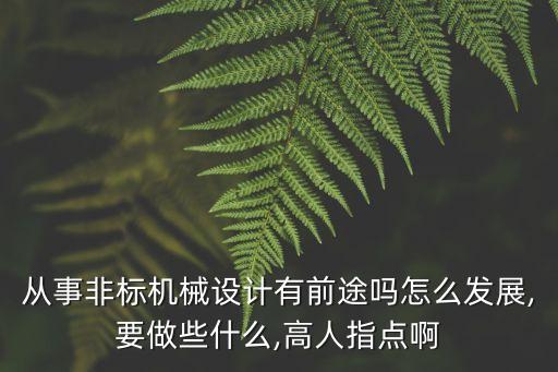 從事非標(biāo)機(jī)械設(shè)計(jì)有前途嗎怎么發(fā)展,要做些什么,高人指點(diǎn)啊