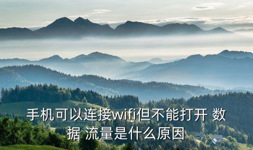 手機(jī)可以連接wifi但不能打開 數(shù)據(jù) 流量是什么原因