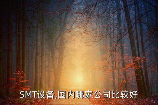 SMT設(shè)備,國(guó)內(nèi)哪家公司比較好