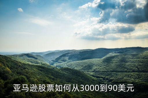 亞馬遜股票如何從3000到90美元