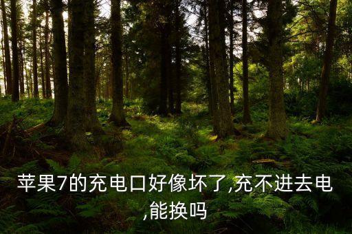 蘋果7的充電口好像壞了,充不進去電,能換嗎