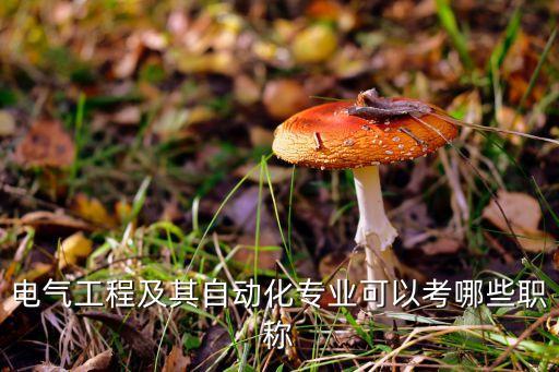 電氣工程及其自動(dòng)化專業(yè)可以考哪些職稱