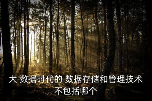 大數(shù)據(jù)和數(shù)據(jù)倉庫