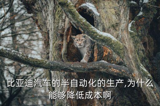 比亞迪汽車的半自動(dòng)化的生產(chǎn),為什么能夠降低成本啊