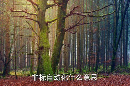 非標(biāo)自動(dòng)化什么意思