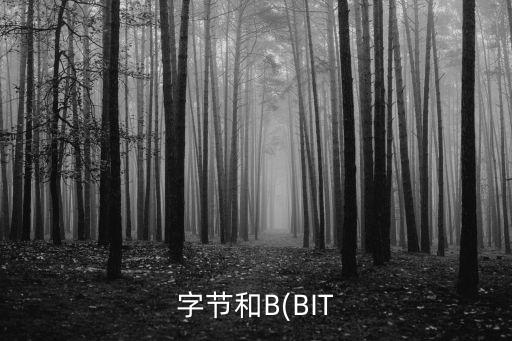 字節(jié)和B(BIT