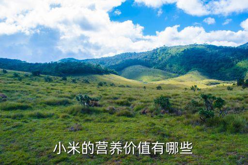 小米的營(yíng)養(yǎng)價(jià)值有哪些