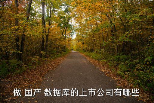 三大國(guó)產(chǎn)數(shù)據(jù)庫(kù),國(guó)產(chǎn)數(shù)據(jù)庫(kù)軟件都有哪些