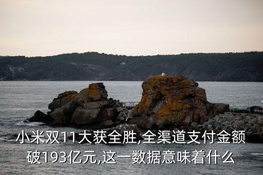小米雙11大獲全勝,全渠道支付金額破193億元,這一數(shù)據意味著什么