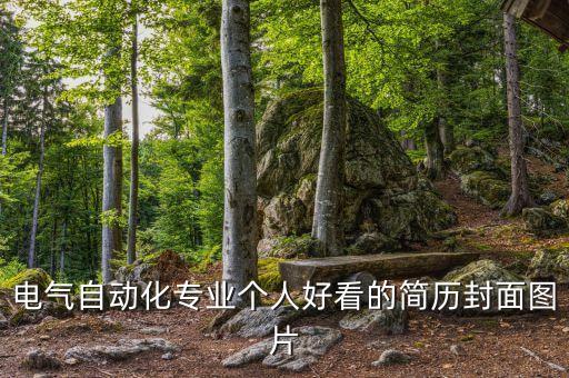 電氣自動(dòng)化專業(yè)個(gè)人好看的簡(jiǎn)歷封面圖片