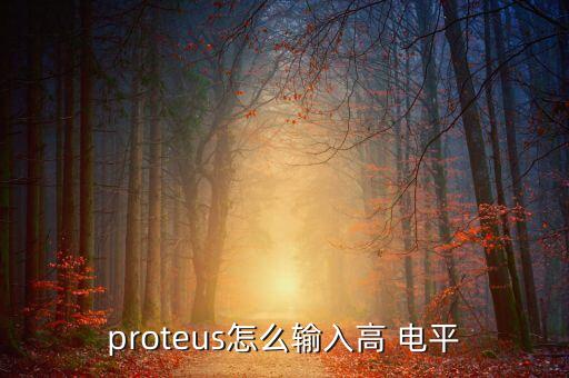 proteus怎么輸入高 電平