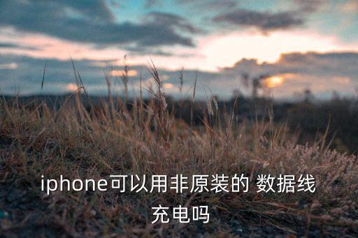 iphone可以用非原裝的 數(shù)據(jù)線 充電嗎
