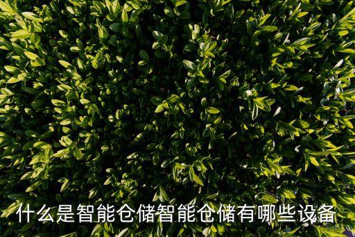 什么是智能倉(cāng)儲(chǔ)智能倉(cāng)儲(chǔ)有哪些設(shè)備