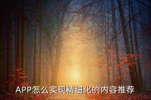 精細(xì)化數(shù)據(jù)分析,數(shù)據(jù)分析需要哪些東西?