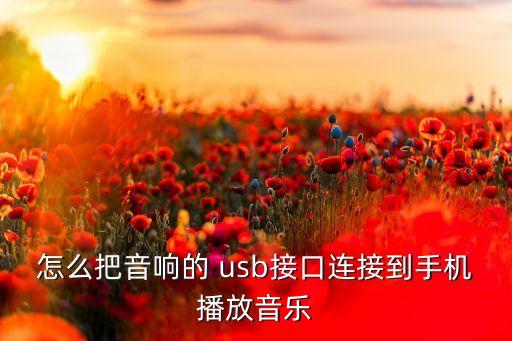 怎么把音響的 usb接口連接到手機(jī)播放音樂