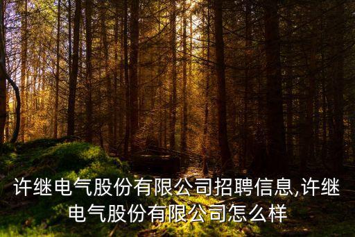 許繼電氣股份有限公司招聘信息,許繼電氣股份有限公司怎么樣