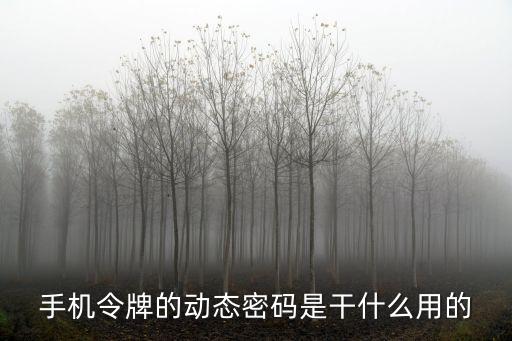 手機(jī)令牌的動(dòng)態(tài)密碼是干什么用的