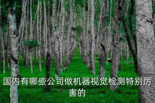國(guó)內(nèi)有哪些公司做機(jī)器視覺(jué)檢測(cè)特別厲害的